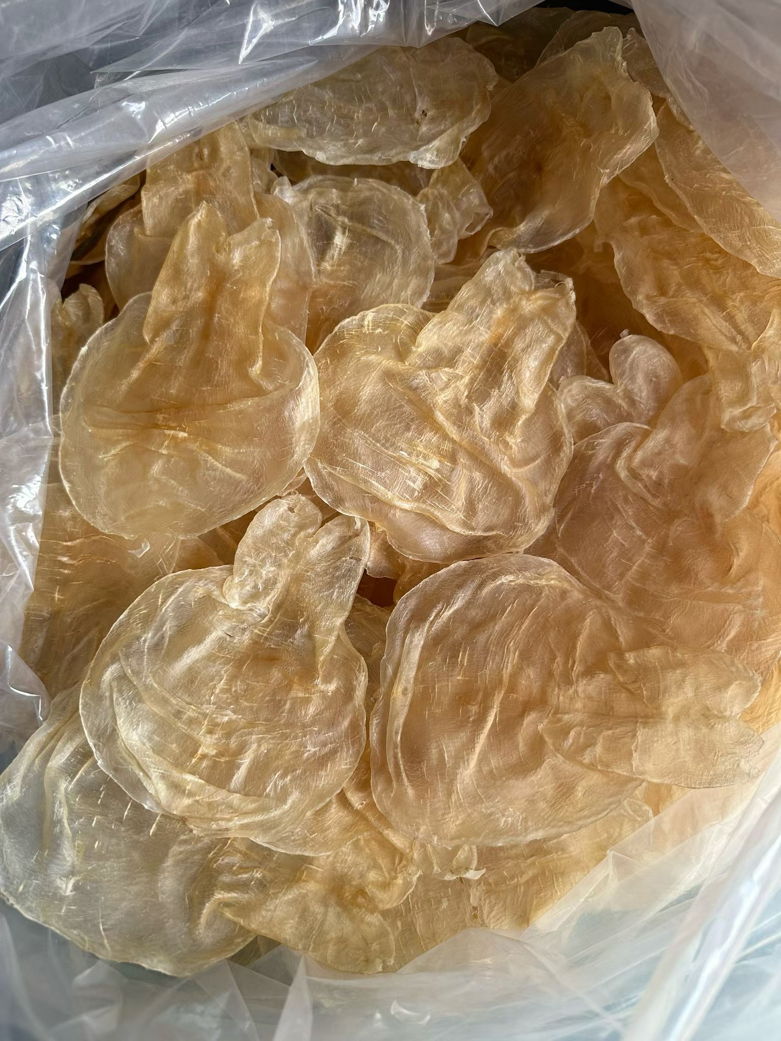 鱼胶收货后整体形态、数量和颜色验货实拍